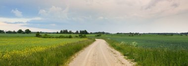 Gün batımında orman ve tarla boyunca boş bir kırsal yol. Yağmurdan sonra parlayan gökyüzü. Turizm, yol gezisi, özgürlük, tatiller, lojistik, uzak yerler kavramları