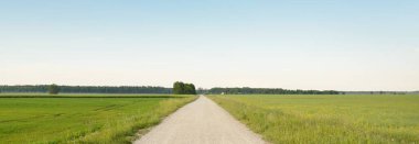 Gün batımında orman ve tarla boyunca boş bir kırsal yol. Yağmurdan sonra parlayan gökyüzü. Turizm, yol gezisi, özgürlük, tatiller, lojistik, uzak yerler kavramları