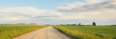 Gün batımında orman ve tarla boyunca boş bir kırsal yol. Yağmurdan sonra parlayan gökyüzü. Turizm, yol gezisi, özgürlük, tatiller, lojistik, uzak yerler kavramları