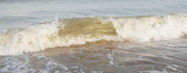 Güneş doğarken sisli bir havada Baltık Denizi kıyısından panoramik manzara. Dalgalar, sıçramalar, su yüzeyi. Yumuşak güneş ışığı, açık mavi gökyüzü. Idyllic yaz deniz manzarası. Saf doğa, çevre, ekoloji, eko-turizm