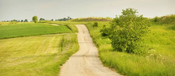 Gün batımında orman ve tarla boyunca boş bir kırsal yol. Yağmurdan sonra parlayan gökyüzü. Turizm, yol gezisi, özgürlük, tatiller, lojistik, uzak yerler kavramları