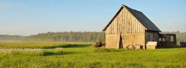 Ett Gammalt Lager Grön Plöjd Åker Och Skog Panoramautsikt Idylliskt — Stockfoto