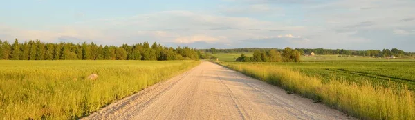 Guidare Una Macchina Attraverso Campo Agricolo Arato Verde Villaggio Foresta — Foto Stock