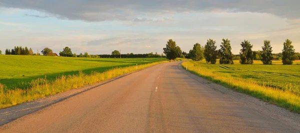 Gün batımında tarla ve orman boyunca (yeni asfalt yol) boş bir otoyoldur. Yağmurdan sonra dramatik bir şekilde parlayan bulutlar. Turizm, yol gezisi, özgürlük, tatiller, lojistik, uzak yerler kavramları