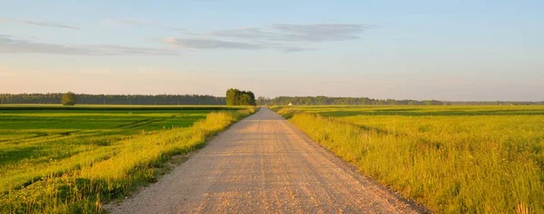 Driving Car Green Plowed Agricultural Field Village Forest Idyllic Summer — Stock Photo, Image