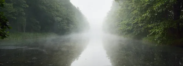 日の出に森林公園内の運河 柔らかい日差し 力強い木だ 透明な水における対称性の反射 大気の風景 生態学 エコツーリズム ハイキング — ストック写真