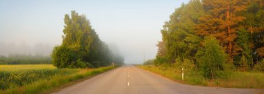 Gün doğumunda sisli bir havada tarlalar ve orman boyunca (asfalt yol) boş bir otoyol. Atmosferik manzara. Idyllic yaz kırsal manzarası. Döneklik havası, tehlikeli sürüş, yol gezisi, tatiller
