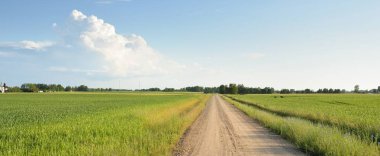 Güneşli bir günde yeşil tarlalarda ve ormanlarda araba sürmek. Açık mavi gökyüzü. Idyllic kırsal alanı, konsept manzarası. Doğa, uzak yerler, lojistik, yaz tatili, yol gezisi