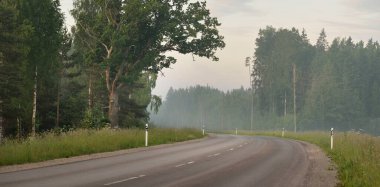 Gündoğumunda tarla ve ormanın içinden (asfalt yol) geçer. Yumuşak güneş ışığı, parlayan bulutlar. Tatiller, lojistik, ücra yerler. Arabadan bak.