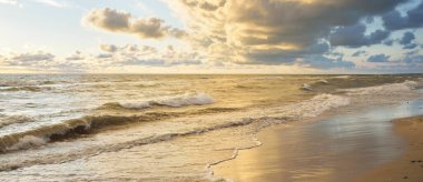 Fırtınadan sonra Baltık kıyıları (kum tepeleri, plaj). Gün batımı, yumuşak altın güneş ışığı, parlayan bulutlar. Resimli panoramik manzara. Doğa, çevre, ekoloji, eko-turizm, yürüyüş, keşif kavramları
