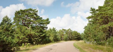 Bir yaz günü tarla ve orman boyunca boş bir kırsal yol. Yağmurdan sonra dramatik fırtına bulutları. Turizm, yol gezisi, özgürlük, tatiller, lojistik, uzak yerler kavramları