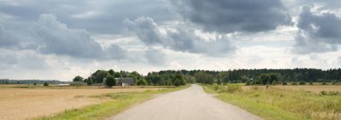Bir yaz günü tarla ve orman boyunca boş bir kırsal yol. Yağmurdan sonra dramatik fırtına bulutları. Turizm, yol gezisi, özgürlük, tatiller, lojistik, uzak yerler kavramları
