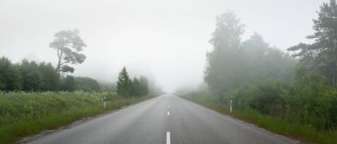 Gün doğumunda yoğun bir sis altında tarlalar ve ormanın içinden (asfalt yol) boş bir otoyol. Atmosferik manzara. Idyllic yaz kırsal manzarası. Dengesiz hava, tehlikeli sürüş, yol gezisi
