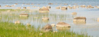 Güneşli bir yaz gününde Baltık kıyılarından panoramik manzara. Kayalar yakın plan. Doğa, çevre koruma, tatiller, yürüyüş, keşif kavramları