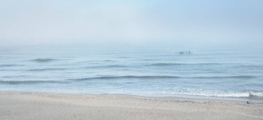 Güneşin doğuşunda sisli bir havada Baltık Denizi manzarası. Kumsal, kum tepeleri. Yumuşak güneş ışığı. Idyllic yaz deniz manzarası. Doğa, çevre, tatiller, eko-turizm, yürüyüş ve keşif kavramları