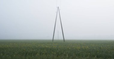 Güneş doğarken yeşil tarlalı tarlaların (orman çimleri, çayır) panoramik manzarası. Sis. Elektrik hattı, yakın plan. Çiftlik, endüstri, ekoloji, doğa, çevresel hasar, teknoloji
