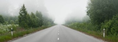 Gün doğumunda yoğun bir sis altında tarlalar ve ormanın içinden (asfalt yol) boş bir otoyol. Atmosferik manzara. Idyllic yaz kırsal manzarası. Dengesiz hava, tehlikeli sürüş, yol gezisi