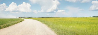 Güneşli bir günde yeşil tarlalarda ve ormanlarda araba sürmek. Açık mavi gökyüzü. Idyllic kırsal alanı, konsept manzarası. Doğa, uzak yerler, lojistik, yaz tatili, yol gezisi