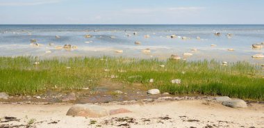 Güneşli bir yaz gününde Baltık kıyılarından panoramik manzara. Kayalar yakın plan. Doğa, çevre koruma, tatiller, yürüyüş, keşif kavramları