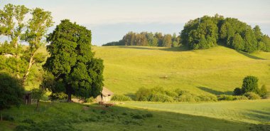 Yeşil bir tarla ve ormanın tepelerinde çarpıcı bir gökyüzü. Gün doğumu. Yağmur ve fırtınadan sonra parlayan bulutlar. Saf güneş ışığı. Idyllic yaz kırsal manzarası. Doğa, ekoloji, eko-turizm