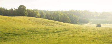 Yeşil bir tarla ve ormanın tepelerinde çarpıcı bir gökyüzü. Gün doğumu. Yağmur ve fırtınadan sonra parlayan bulutlar. Saf güneş ışığı. Idyllic yaz kırsal manzarası. Doğa, ekoloji, eko-turizm