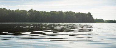 Kristal berrak bir orman gölü (nehir) kıyısından panoramik manzara. Idyllic yaz manzarası. Doğa, çevre, ekoloji, eko-turizm, yürüyüş, tatiller, yüzme ve rahatlatıcı kavramlar