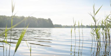 Kristal berrak bir orman gölü (nehir) kıyısından panoramik manzara. Idyllic yaz manzarası. Doğa, çevre, ekoloji, eko-turizm, yürüyüş, tatiller, yüzme ve rahatlatıcı kavramlar
