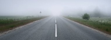Gün doğumunda yoğun bir sis altında tarlalar ve ormanın içinden (asfalt yol) boş bir otoyol. Atmosferik manzara. Idyllic yaz kırsal manzarası. Dengesiz hava, tehlikeli sürüş, yol gezisi