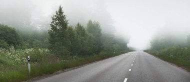 Gün doğumunda yoğun bir sis altında tarlalar ve ormanın içinden (asfalt yol) boş bir otoyol. Atmosferik manzara. Idyllic yaz kırsal manzarası. Dengesiz hava, tehlikeli sürüş, yol gezisi