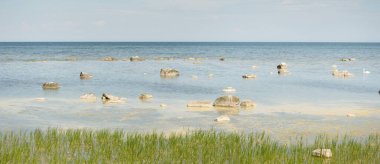 Güneşli bir yaz gününde Baltık kıyılarından panoramik manzara. Kayalar yakın plan. Doğa, çevre koruma, tatiller, yürüyüş, keşif kavramları