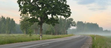 Kırsal karayolu (eski asfalt yolu) gün doğumunda tarla ve ormanın içinden geçer. Yumuşak güneş ışığı, parlayan pembe ve altın bulutlar. Tatiller, lojistik, uzak yerler