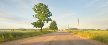 Gündoğumunda tarla ve ormanın içinden (asfalt yol) geçer. Yumuşak güneş ışığı, parlayan bulutlar. Tatiller, lojistik, ücra yerler. Arabadan bak.