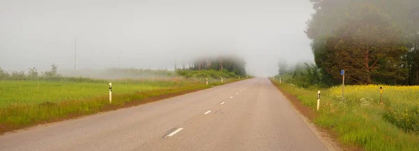 日出时分 在浓雾中穿过田野和森林的一条空旷的公路 沥青路 大气景观 田园诗般的夏季乡村风景 变化无常的天气 危险的驾驶 公路旅行 — 图库照片