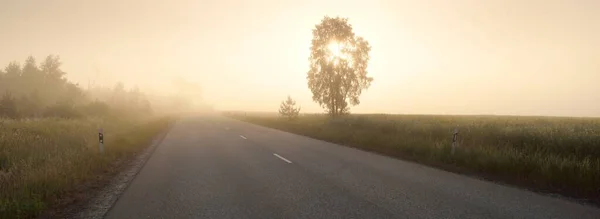 Empty Highway Asphalt Road Fields Forest Fog Sunrise Atmospheric Landscape — Stock Photo, Image