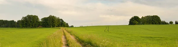 Eine Leere Landstraße Durch Feld Und Wald Bei Sonnenuntergang Glühender — Stockfoto