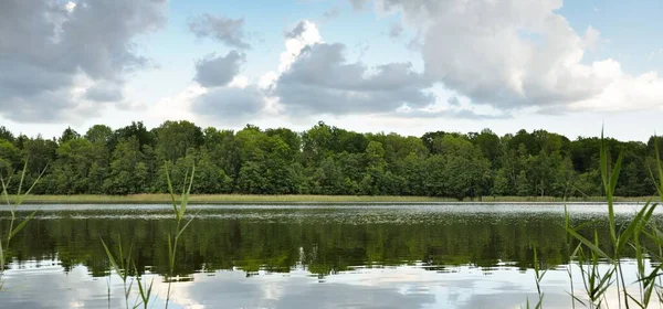 Panorámás Kilátás Parttól Egy Kristálytiszta Erdei Folyó Idilli Nyári Táj — Stock Fotó