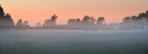 Green Country Field Forest Meadow Lawn Fog Sunrise Soft Sunlight — Stock Photo, Image