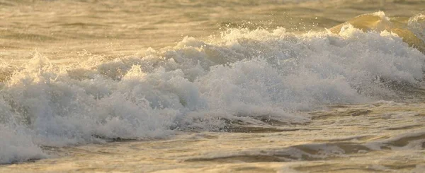 Costa Mar Báltico Depois Tempestade Pôr Sol Luz Solar Suave — Fotografia de Stock