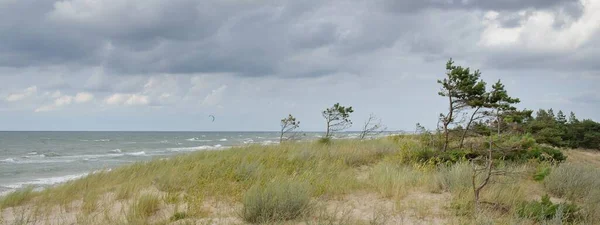 Oostzee Regen Zandduinen Duingras Eenzame Bomen Dramatische Zonsondergang Hemel Gloeiende — Stockfoto