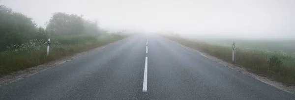 Пустое Шоссе Асфальтовая Дорога Через Поля Лес Густом Тумане Восходе — стоковое фото