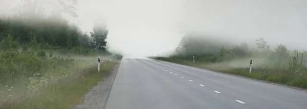 Autostrada Vuota Strada Asfaltata Attraverso Campi Foresta Una Fitta Nebbia — Foto Stock
