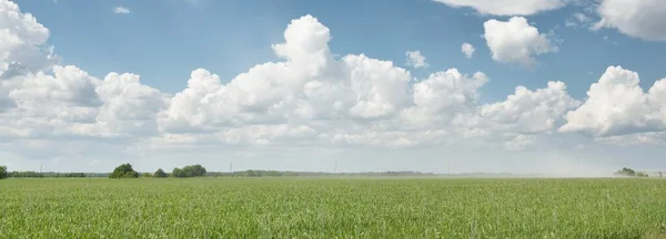 耕された農地と森林の緑の丘 牧歌的な夏の田園風景 雨の後 劇的な空 純粋な自然 田舎の生活 エコツーリズム パノラマビュー — ストック写真