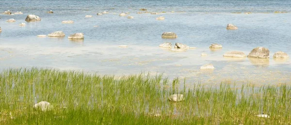 Panoramautsikt Från Östersjöns Strand Klar Solig Sommardag Stenar Nära Håll — Stockfoto