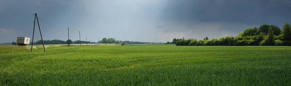 Colinas Verdes Campo Agrícola Arado Floresta Cena Rural Verão Idílica — Fotografia de Stock