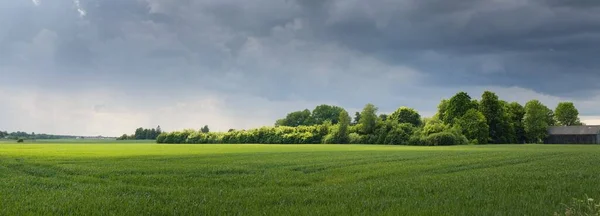 Zelené Kopce Orané Zemědělské Půdy Lesů Idylická Letní Venkovská Scéna — Stock fotografie