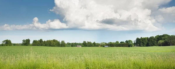 耕された農地と森林の緑の丘 牧歌的な夏の田園風景 雨の後 劇的な空 純粋な自然 田舎の生活 エコツーリズム パノラマビュー — ストック写真