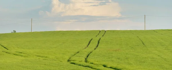 Green Hills Plowed Agricultural Field Forest Idyllic Summer Rural Scene — Stock Photo, Image