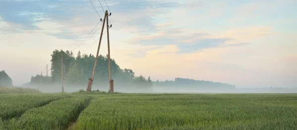 Panoramatický Výhled Zelené Orané Zemědělské Pole Při Východu Slunce Stromy — Stock fotografie