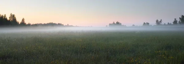 Champ Champêtre Vert Prairie Forestière Pelouse Dans Brouillard Lever Soleil — Photo