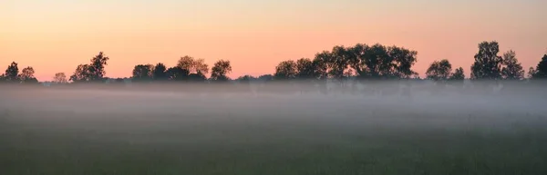 Zielone Pole Kraju Łąka Leśna Trawnik Mgle Wschodzie Słońca Miękkie — Zdjęcie stockowe